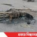 টাঙ্গাইলে সাংবাদিকের মোটরসাইকেল দুর্বৃত্তদের দেয়া আগুণে পুড়ে ছাই