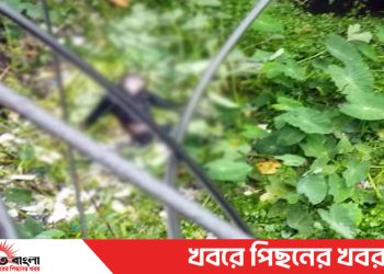 টাঙ্গাইলে নিখোঁজের তিনদিন পর ডোবা থেকে কিশোরের মরদেহ উদ্ধার