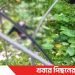 টাঙ্গাইলে নিখোঁজের তিনদিন পর ডোবা থেকে কিশোরের মরদেহ উদ্ধার