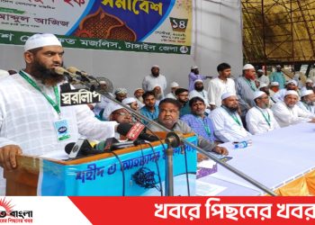 পরাজিত শক্তি দরজা দিয়ে আমাদের পিঠে ছুরিকাঘাতের চেষ্টা করছে টাঙ্গাইলে- মামুনুল হক