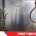 টাঙ্গাইল মধুপুরে গাছে ঝুলন্ত এক বৃদ্ধের মরদেহ উদ্ধার