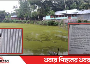 টাঙ্গাইল গোপালপুরে সেনা সদস্যের বাড়ীতে হামলা