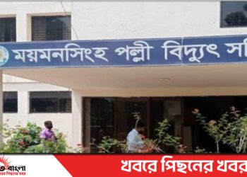 টাঙ্গাইলে ‘ব্ল্যাক আউট’ কর্মসূচিতে ৬ উপজেলায় বিদ্যুৎ বন্ধ