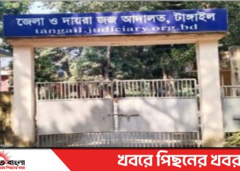 টাঙ্গাইলে মাদক মামলায় স্বামী-স্ত্রীর কারাদণ্ড