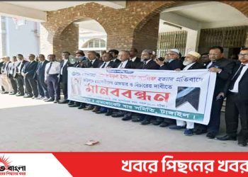 অ্যাডভোকেট আলিফ হত্যায় টাঙ্গাইলে আইনজীবীদের মানববন্ধন