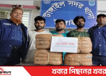 টাঙ্গাইলে ১৪ কেজি গাঁজা সহ আটক ৩