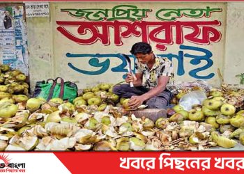 দুই টাকার তালের শাঁস ৩০ টাকায় বিক্রি টাঙ্গাইলের বাজারে
