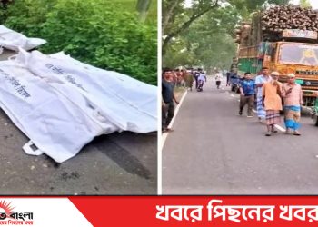 সখীপুরে দাঁড়িয়ে থাকা ট্রাকে পিকআপের ধাক্কায় নিহত ৪