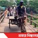 টাঙ্গাইলে স্বাধীনতার সাড়ে পাঁচ দশকেও হয়নি সেতু  প্রায় ২০ গ্রামের মানুষের ভরসা নড়বড়ে কাঠের সাঁকো