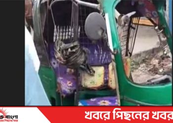 টাঙ্গাইল এলেঙ্গায় বাস-সিএনজির সংঘর্ষে  এক নারী নিহত সহ আহত ২ জন
