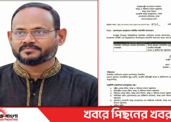 টাঙ্গাইল মেডিকেল কলেজ হাসপাতালের ব্যবস্থাপনা কমিটির সভাপতি হলেন সুলতান সালাউদ্দিন টুকু