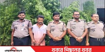 টাঙ্গাইল ভূঞাপুরে গাঁজা গাছ সহ একজন চাষী গ্রেপ্তার