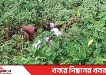 টাঙ্গাইল সখীপুরে দুই দিন পর নিখোঁজ বিধবা নারীর মরদেহ উদ্ধার
