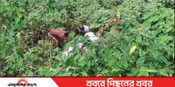 টাঙ্গাইল সখীপুরে দুই দিন পর নিখোঁজ বিধবা নারীর মরদেহ উদ্ধার