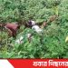 টাঙ্গাইল সখীপুরে দুই দিন পর নিখোঁজ বিধবা নারীর মরদেহ উদ্ধার