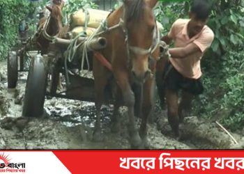 স্বাধীনতার ৫৫ বছরেও লাগেনি উন্নয়নের ছোঁয়া নাগরপুরের চাঁনপাড় গ্রামের মানুষের ভোগান্তি