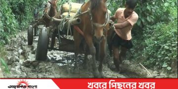 স্বাধীনতার ৫৫ বছরেও লাগেনি উন্নয়নের ছোঁয়া নাগরপুরের চাঁনপাড় গ্রামের মানুষের ভোগান্তি