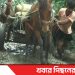 স্বাধীনতার ৫৫ বছরেও লাগেনি উন্নয়নের ছোঁয়া নাগরপুরের চাঁনপাড় গ্রামের মানুষের ভোগান্তি