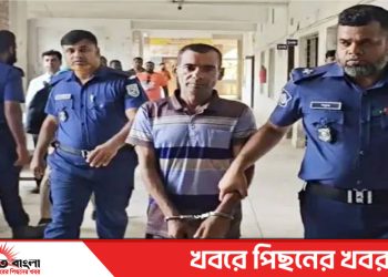 বাসাইলে স্ত্রী হত্যার অপরাধে স্বামীর মৃত্যুদণ্ড
