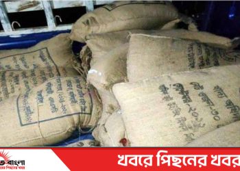 টাঙ্গাইলের কালিহাতীর এলেঙ্গায় সরকারি চাল গেল ব্যবসায়ীর গুদামে ২১৬ বস্তা উদ্ধার